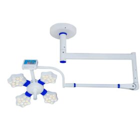 ALEXA 4 Celling OT Light