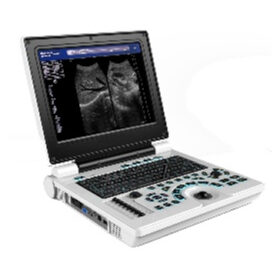 Laptop B/W Ultrasound Scanner