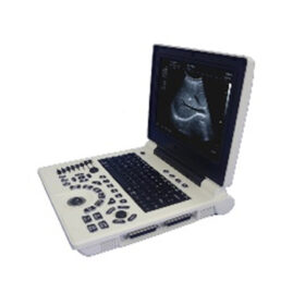 Laptop B/W Ultrasound Scanner