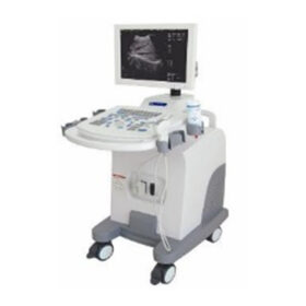 PC based Laptop B/W Ultrasound Scanner